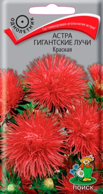 Семена Астра Гигантские лучи Красная, 0,3 гр.
