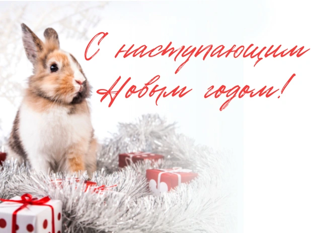График работы на новогодние праздники 2023
