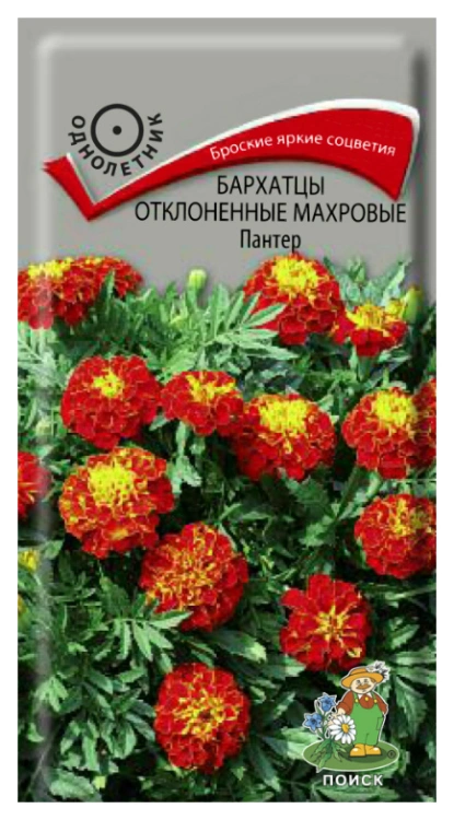 Семена Бархатцы отклоненные махровые Пантер, 0,2 гр. купить в отделе Семена цветов магазина Экономстрой