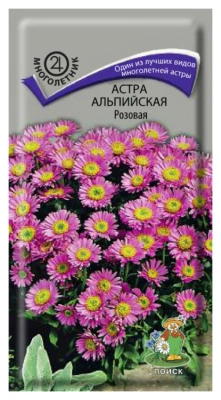 Семена Астра альпийская Розовая, 0,04 гр.