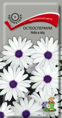 Семена Остеоспермум Небо и лед, 0,1 гр. купить в отделе магазина Экономстрой
