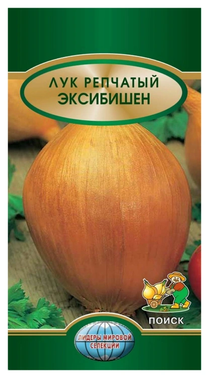 Семена Лук репчатый Эксибишен, 0,5 гр. купить в отделе Семена овощей и ягод магазина Экономстрой