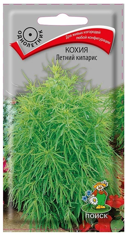 Семена Кохия Летний кипарис, 0,2 гр. купить в отделе Семена цветов магазина Экономстрой
