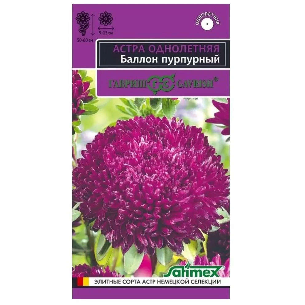 Семена Гавриш Satimex Астра однолетняя Баллон пурпурный, 0,05 гр. купить в отделе Семена цветов магазина Экономстрой