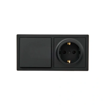 Выключатель 1- клавишный и розетка 1- местная Lezard Leto с заземлением, черный купить в отделе магазина Экономстрой