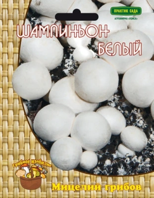 Шампиньон белый, 60 мл купить в отделе магазина Экономстрой