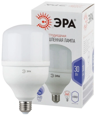 Лампа светодиодная Эра LED Power smd T100-30W-6500-E27 2400lm 6500К, Б0027004 купить в отделе магазина Экономстрой
