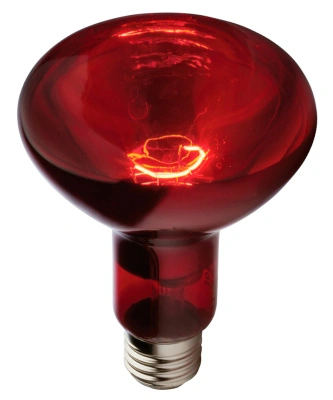 Лампа накаливания инфракрасная зеркальная ИКЗК красная 250W E27 2160lm, 9732635/Б0042980