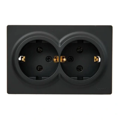 Розетка 2- местная с заземлением Lezard Leto, черная купить в отделе магазина Экономстрой