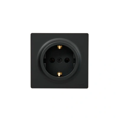 Розетка 1- местная с заземлением Lezard Leto, черная купить в отделе магазина Экономстрой