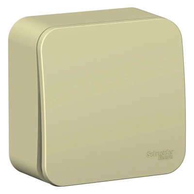 Переключатель Schneider Electric, Blanca, открытой установки, 1 клавишный, бежевый