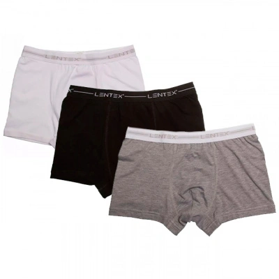 Трусы мужские (боксеры) Lentex Boxer, р. L/48
