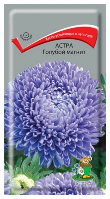 Семена Астра Голубой Магнит, 0,3 гр. купить в отделе магазина Экономстрой