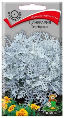 Семена Цинерария Серебряная, 0,1 гр. купить в отделе магазина Экономстрой